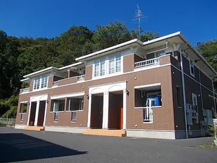 グリシーナの画像