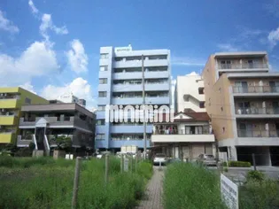 イトスの画像