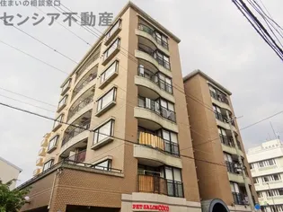 セレノナカザワの画像