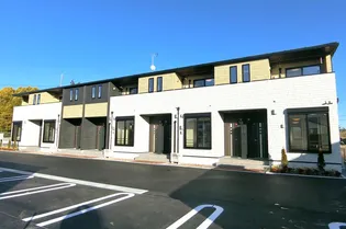 ナイスハッシーIの画像