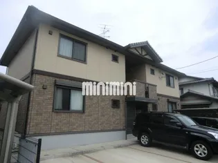 カメリアIIの画像