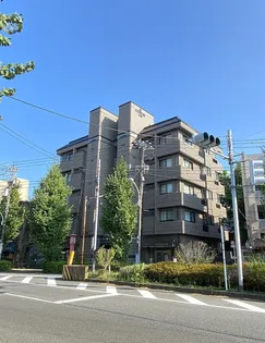 コリンズ19【5階】の外観