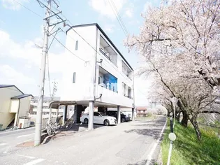A Y Aの画像