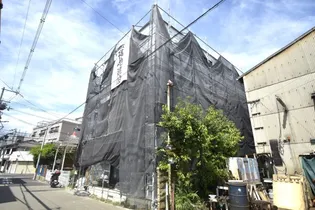 F PALAMEDES SEAMの画像