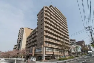 ベェルヴェル稲城【4階】の外観