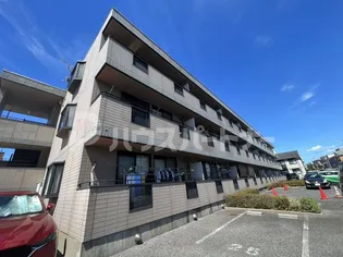 エーデルワイスの画像