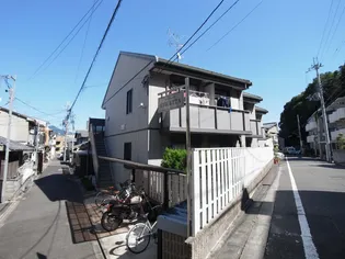 ヴィオレッタの画像