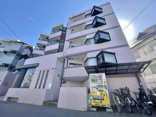 シェモア19の画像