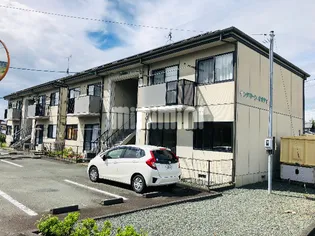 サングリーンオオタ Bの画像