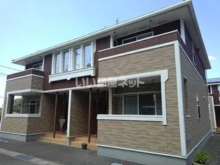 プラシードBの画像