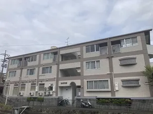 リヴィエール藤森【3階】の外観
