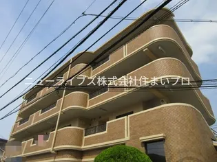 メゾンジョイの画像