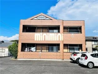 プリムローズの画像