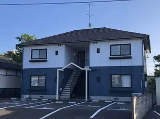 ルピナスの画像