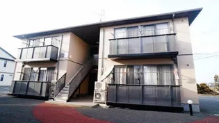 ルミナスCの画像