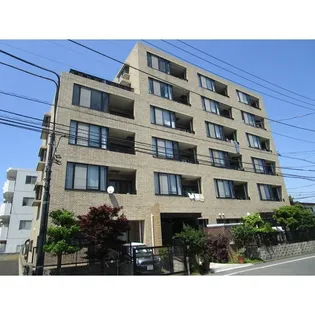 サルーテの画像