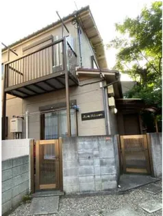 サンフラワーの画像