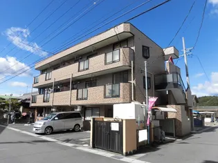 アールヴィヴァンの画像