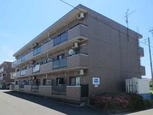 ベロウ アビターレの画像