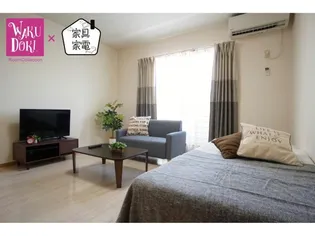 ネクステージIIIの画像