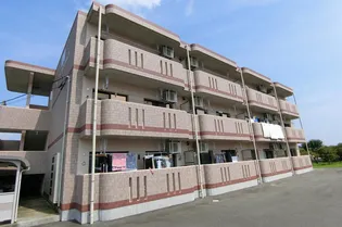 ユーミーブルースカイの画像