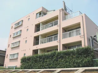 リバーサイドマンションB棟【2階】の外観