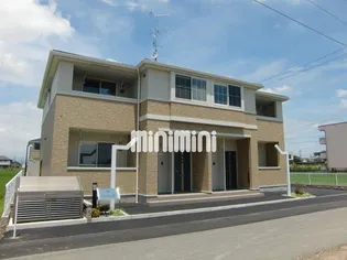 LRステディア Bの画像