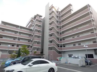 エル セレーノ御崎本町の画像