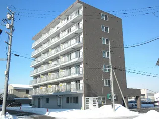 フォルテの画像