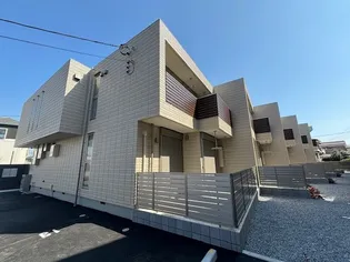 コオリナの画像