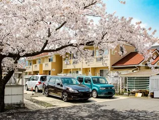 メゾン・アプリコット【1階】の外観