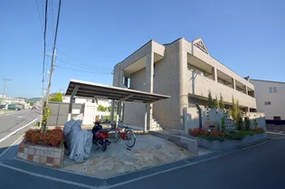 エクセ コートの画像