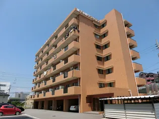 第7水野マンションの画像