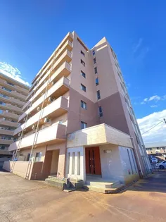 ラパーチェの画像