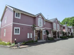 アンジェリークの画像