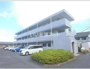 ハイルネッサンスAの画像