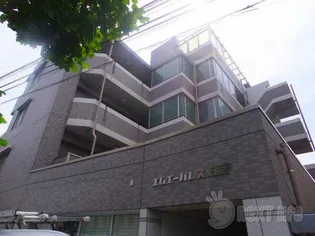 エムエーパレス日吉【5階】の外観