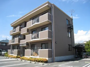 エコグランデの画像