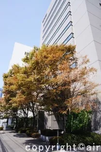 サウスポート品川レジデンス【3階】の外観