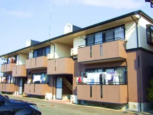 ハイカムールジャスミンBの画像