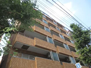 竜星ハイツ【4階】の外観