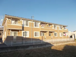 プリムローズMの画像