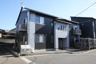 ダイアンサスの画像