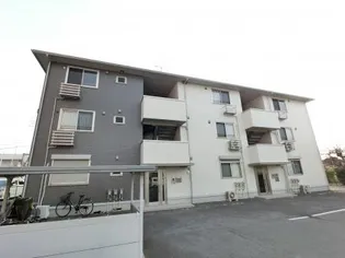 M'SⅡの画像