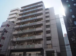 プラチナコートの画像