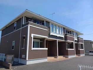 ラフィーシアAの画像