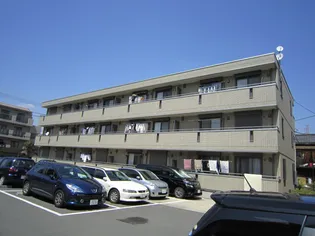 メゾン アムール 壱番館の画像