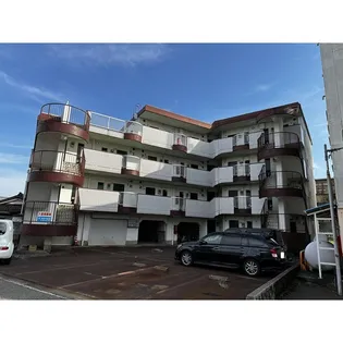 ハイム桂【4階】の外観