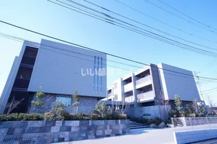 エルミタージュ クールの画像