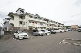 メゾン嵯峨の道【1階】の外観